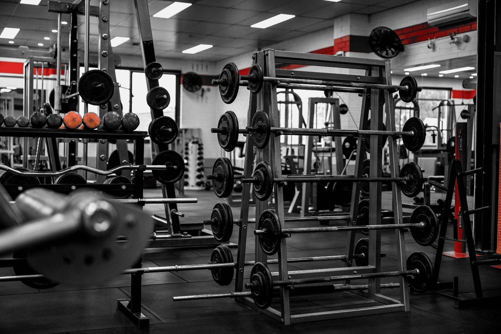 Body Matrix gym floor — barbell racks and plate trees